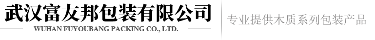 武漢皮帶機(jī)設(shè)計(jì)