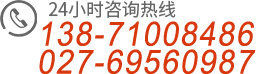 武漢皮帶機(jī)廠(chǎng)家電話(huà)